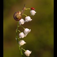 Anne Carlson Photo 15