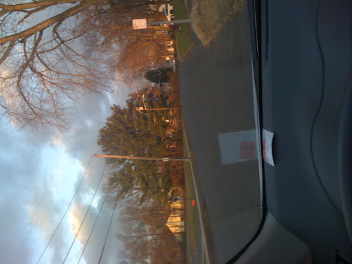 Sylvia Scott Photo 31