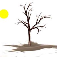 Susan Sisson Photo 11