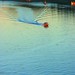 Dawn Speed Photo 12
