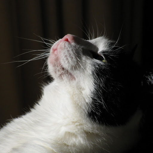 John Bacon Photo 56 John Bacon Photo 56