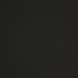 Dorothy Phillips Photo 34