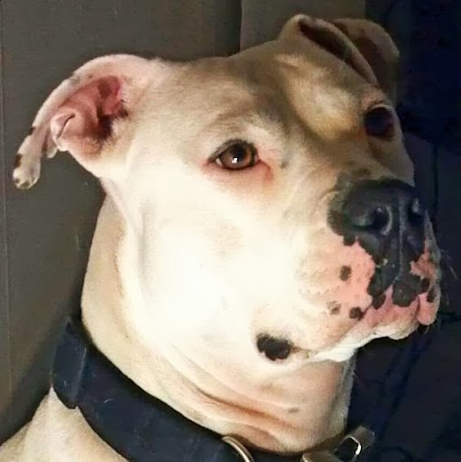 Aubrey Ramsey Photo 1