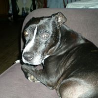 Elaine Allen Photo 34