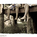 Nancy Haskin Photo 28