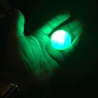 Steve Herman Photo 23