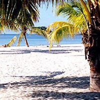 Jane Mcneil Photo 16 Jane Mcneil Photo 16