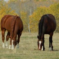 Howard Warren Photo 3