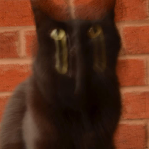 Samuel Cannon Photo 12