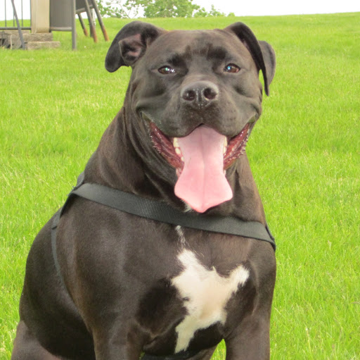 Jason Wolff Photo 34