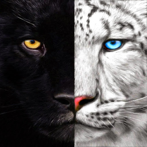 Donna Singh Photo 23