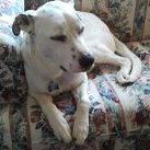 Jill Solomon Photo 11