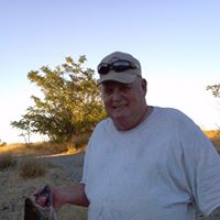 Dale Meek Photo 17