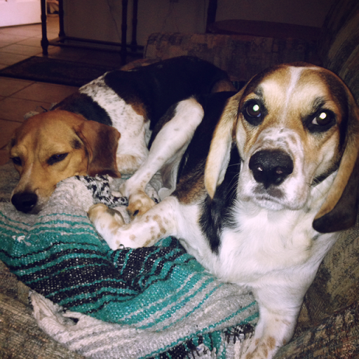 Victoria Grace Photo 15