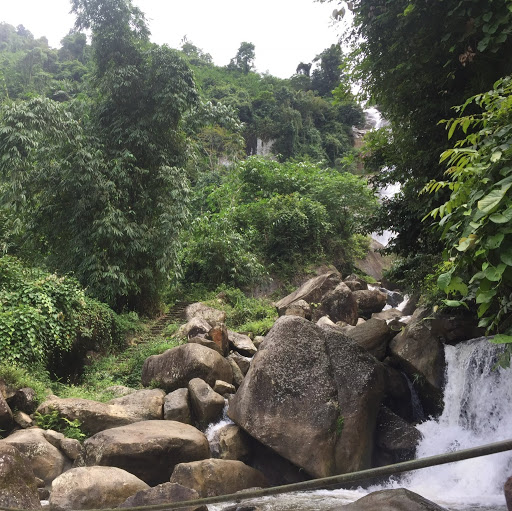 Stephen Tsang Photo 30 Stephen Tsang Photo 30