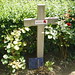 Cheri Case Photo 10