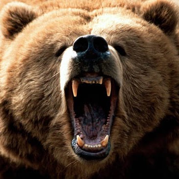 Shane Mooney Photo 35