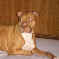 Joann Casey Photo 25