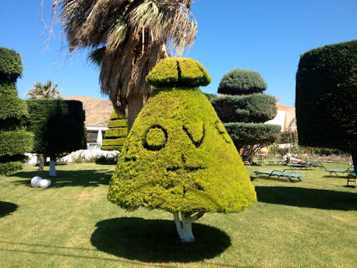 David Moser Photo 13