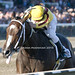 Rachel Lay Photo 15