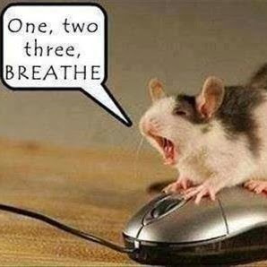 Denise Lewis Photo 16