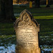 Ann Wilkinson Photo 24