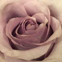 Julie Landry Photo 12