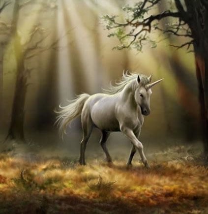 Wanda Roberson Photo 1