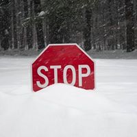 Susan Nowlin Photo 14