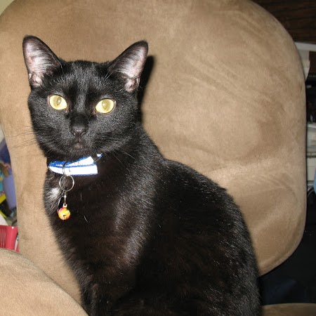 Bobbie Green Photo 37