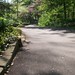 Joseph Adkins Photo 4