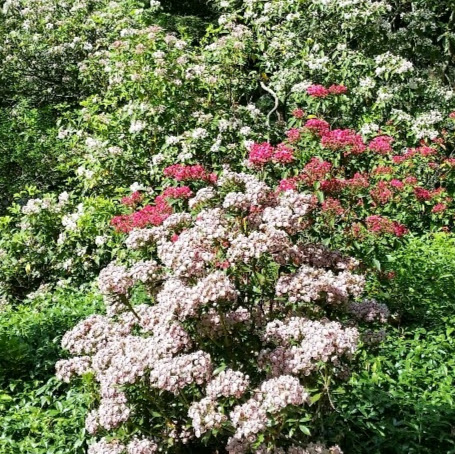 Carla Dunlap Photo 26 Carla Dunlap Photo 26