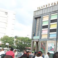 Moges Girma Photo 9