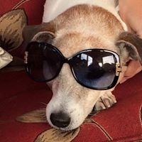 Dan Mcmahon Photo 14