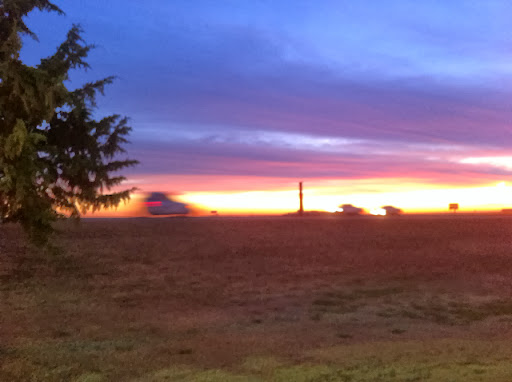 Nancy Fletcher Photo 12