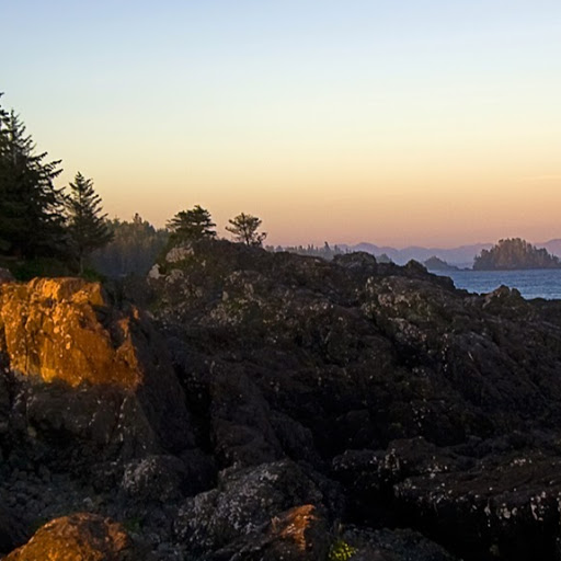 Natalie Owens Photo 33