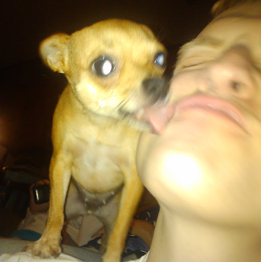 Craig Webb Photo 32 Craig Webb Photo 32