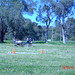 Stacey Rhodes Photo 47