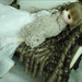 Angela Bright Photo 28