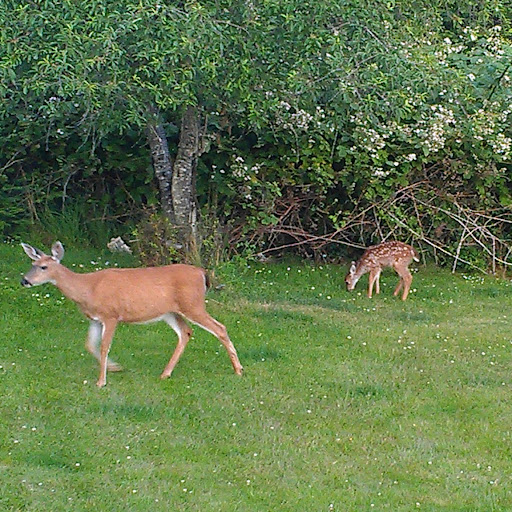 Tracy Morrissey Photo 15