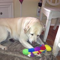 Sherry Roller Photo 15