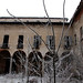Janet Castle Photo 13