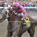 Jerry Luck Photo 24