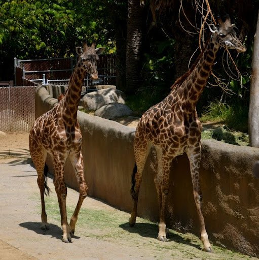 Kristina Roman Photo 23