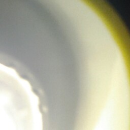 Vincent Richter Photo 6