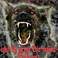 Alexander Stark Photo 31