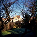 Amy House Photo 38
