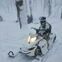 William Baumann Photo 14