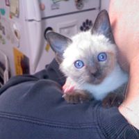 Madeline Ryan Photo 16