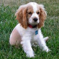 Joshua Rutledge Photo 13